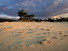 Hulshorsterzand in het avondlicht