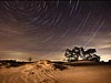 Kootwijkerzand in de nacht