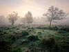 Leersumseveld in de mist