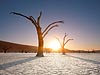 Deadvlei