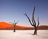 Laatste zonnestralen in Deadvlei