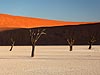 Deadvlei