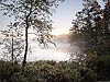 Årsjön in Tyresta National Park